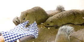 23970_ext_37_0.jpg