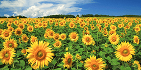 25045_ext_37_0.png