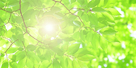 25045_ext_37_0.png
