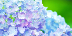 25045_ext_37_0.png