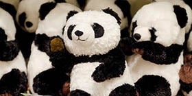 23569_ext_37_0.jpg