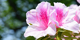 25045_ext_37_0.png