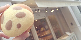 23518_ext_37_0.jpg