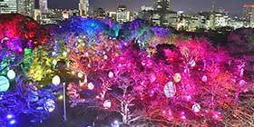 24607_ext_37_0.jpg