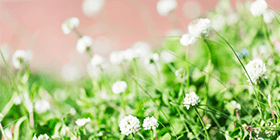 24698_ext_37_0.png