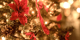 24453_ext_37_0.png