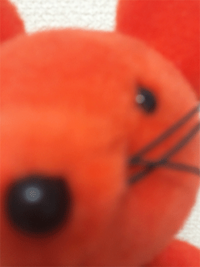 近すぎるバイチュー