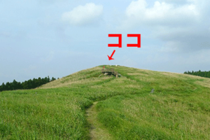 遠すぎるバイチュー