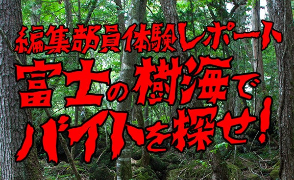 編集部員体験レポート　富士の樹海でバイトを探せ！