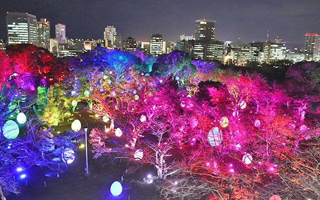 福岡城 チームラボ 城跡の光の祭