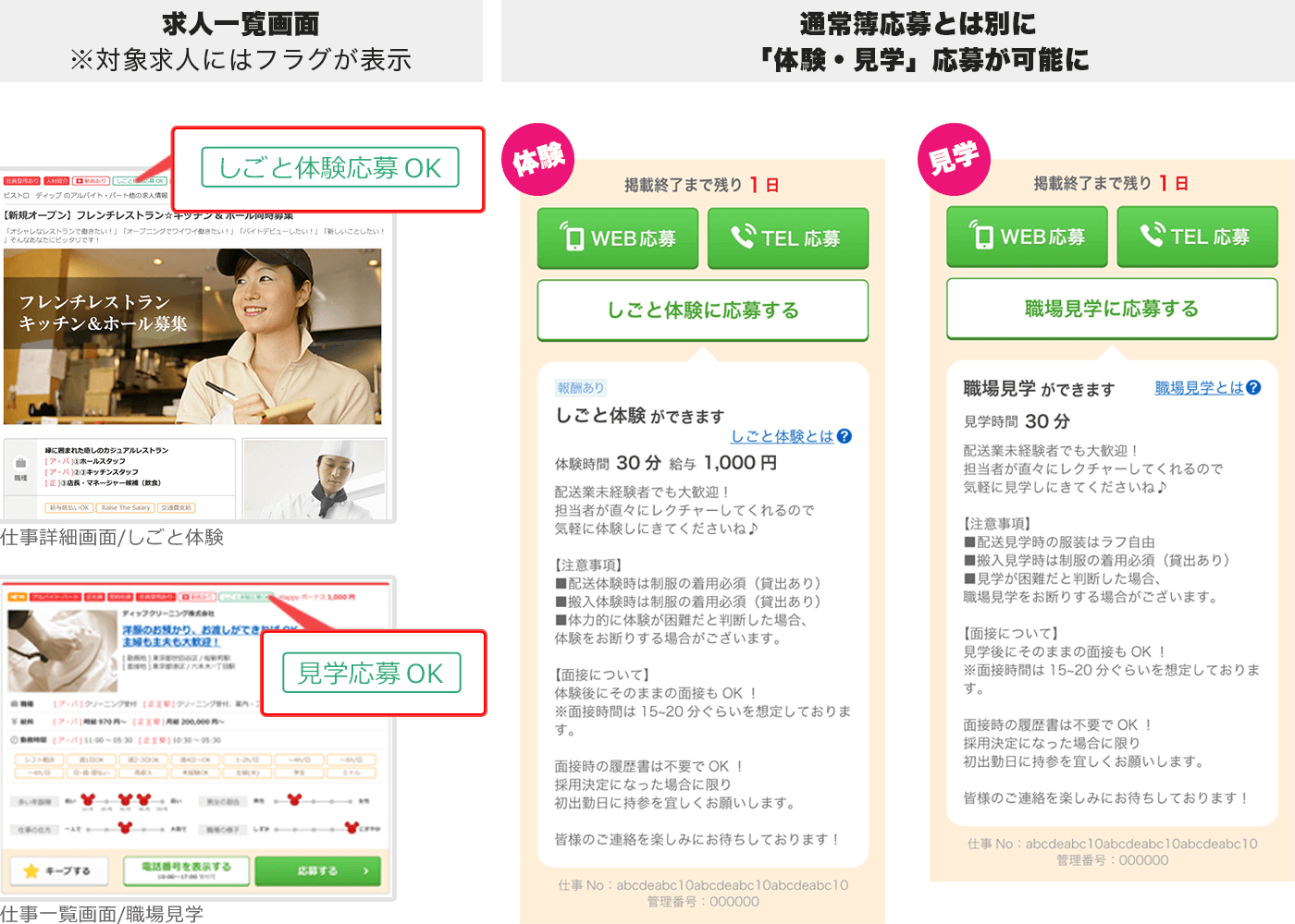 しごと体験・職場見学機能画面イメージ