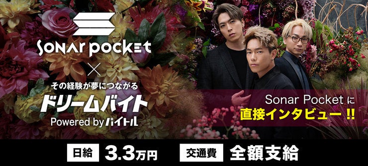 Sonar Pocket イメージ