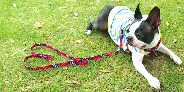 【面接Q&A】応募理由が「学校や家の近さ」しか浮かばない