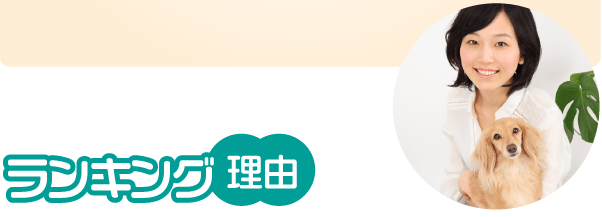 ランキング理由