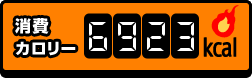 消費カロリー6923kcal