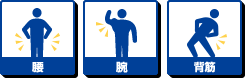 腰 腕 背筋