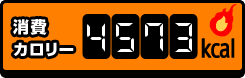 消費カロリー 4573kcal