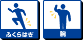 ふくらはぎ 腕