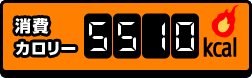 消費カロリー5510kcal