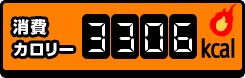 消費カロリー 3306kcal