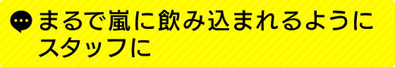 まるで嵐に飲み込まれるようにスタッフに