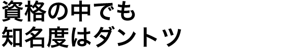 資格の中でも知名度はダントツ