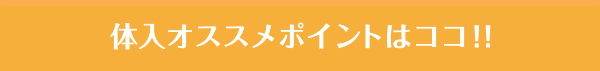 体入おすすめポイントはココ！！