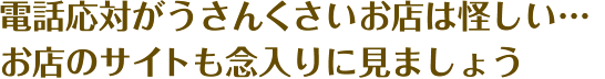 電話応対がうさんくさいお店は怪しい… お店のサイトも念入りに見ましょう