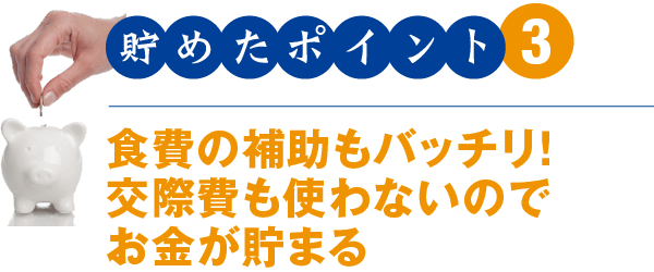 貯めたポイント3 食費の補助もバッチリ!交際費も使わないのでお金が貯まる